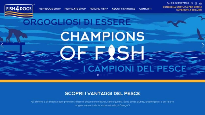 webnet30 fish4dog portfolio e75fb5ce